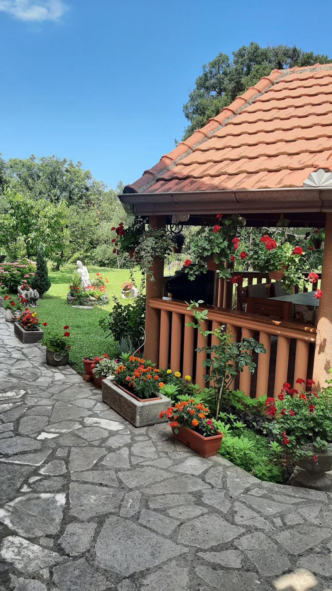 Apartmani "Dukic" Pelinovo Quarto foto