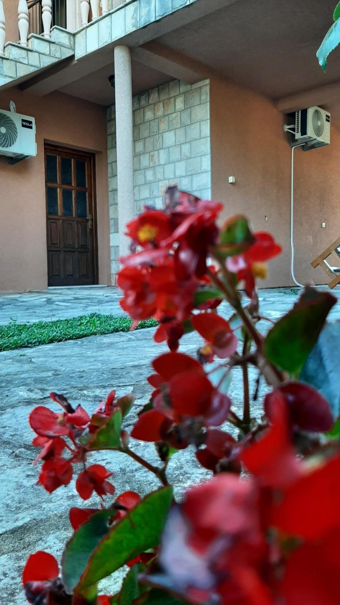 Apartmani "Dukic" Pelinovo Quarto foto