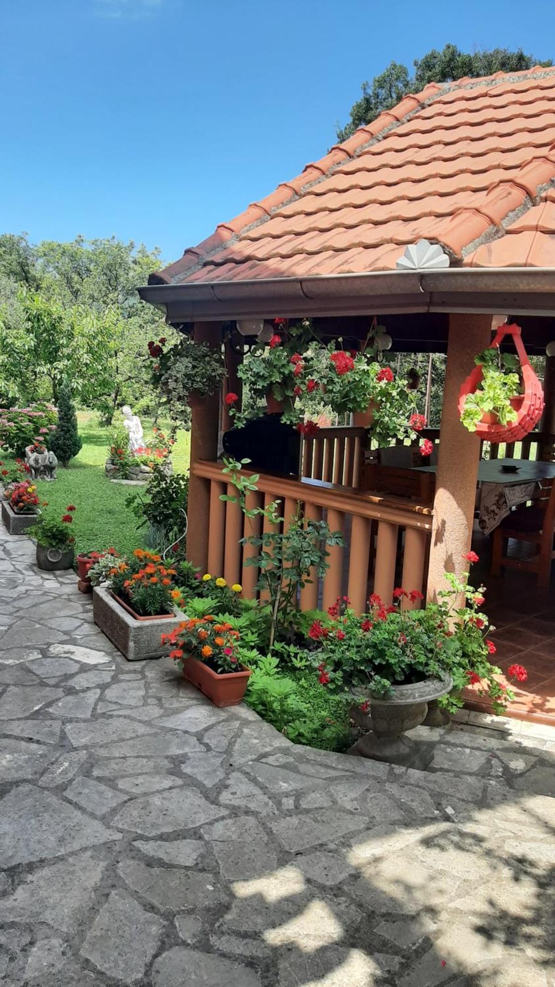 Apartmani "Dukic" Pelinovo Quarto foto
