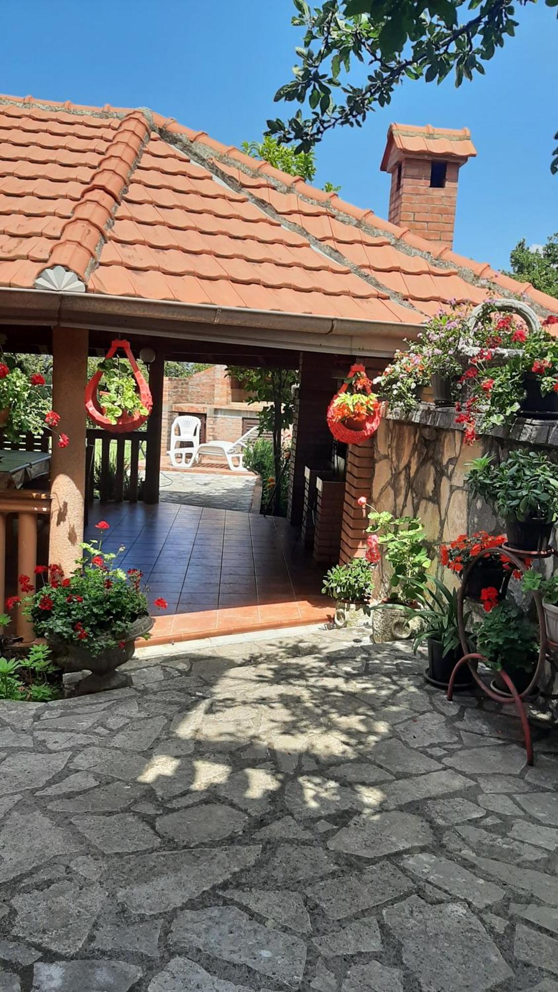 Apartmani "Dukic" Pelinovo Quarto foto
