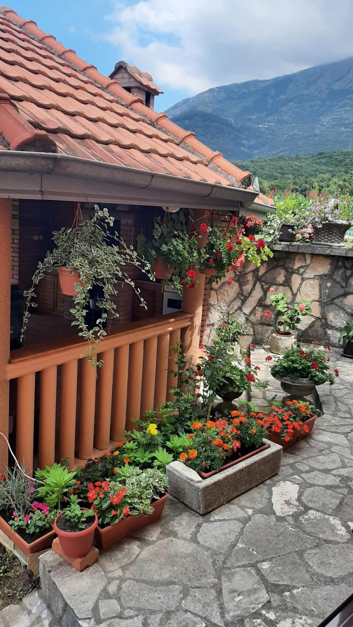 Apartmani "Dukic" Pelinovo Quarto foto