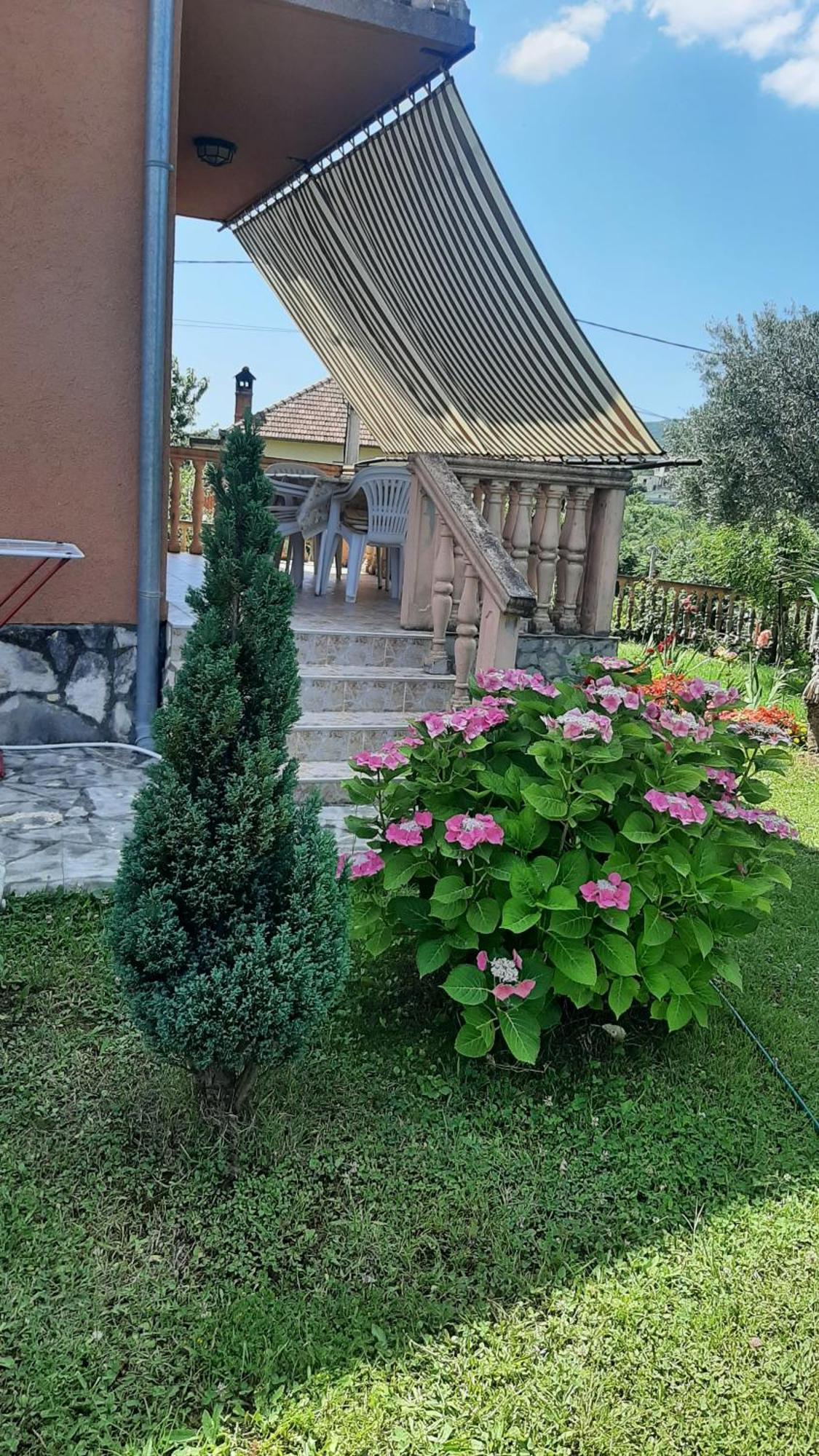 Apartmani "Dukic" Pelinovo Quarto foto