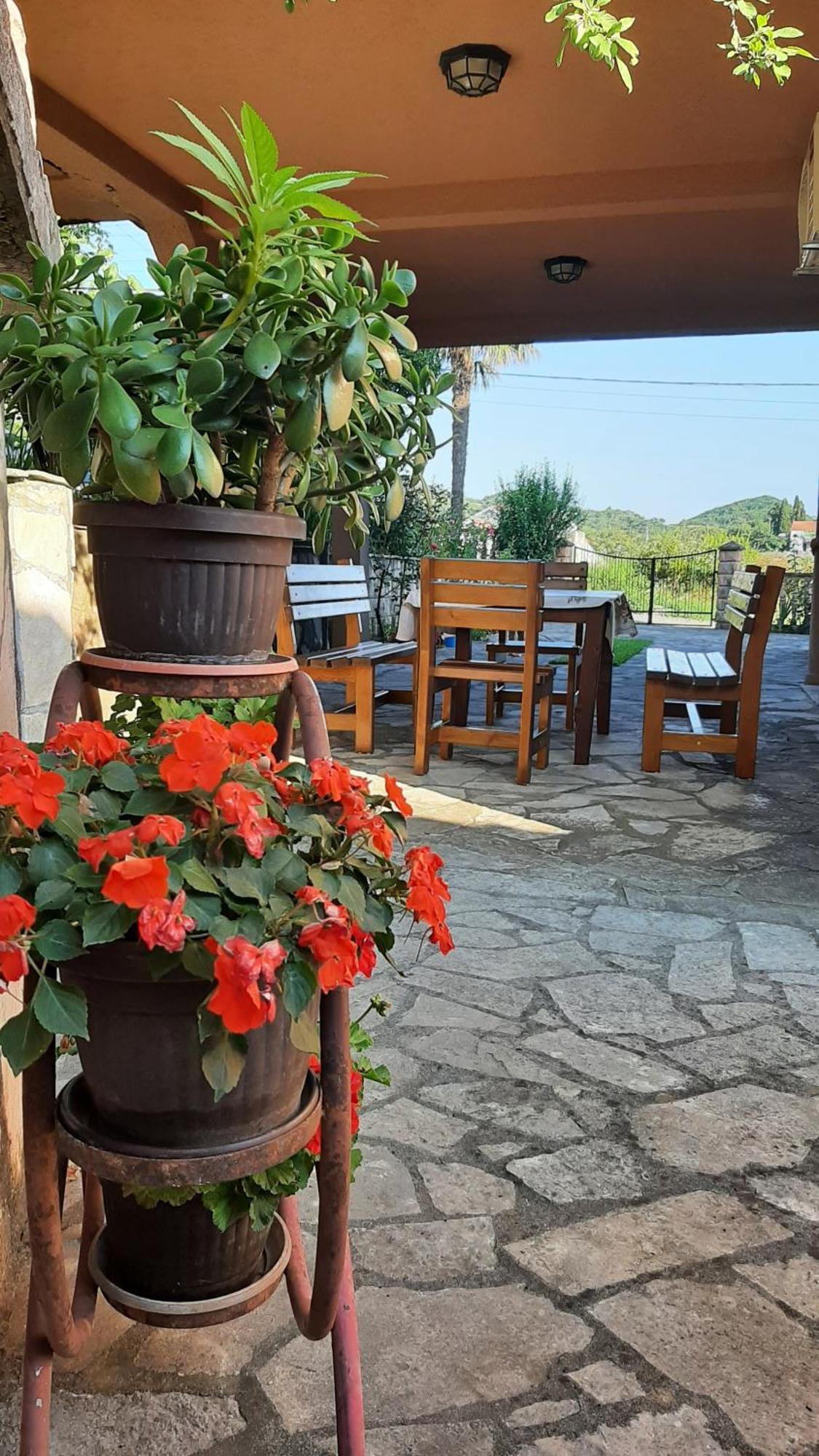 Apartmani "Dukic" Pelinovo Quarto foto
